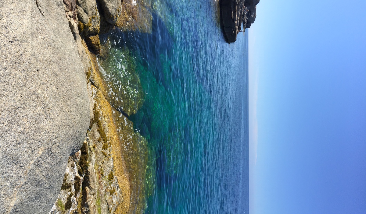 Photo France Corse Calvi 2015-05 58