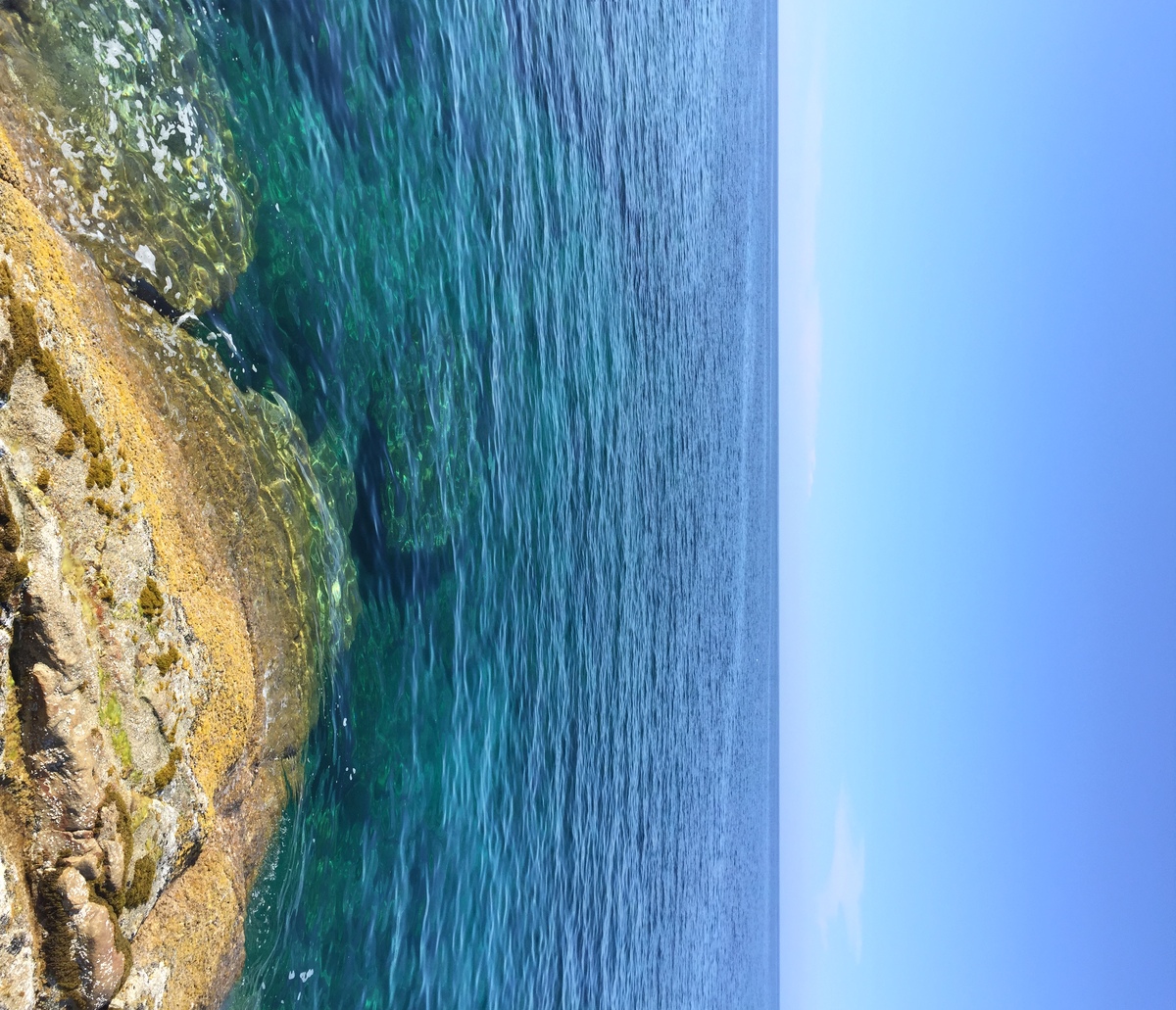 Photo France Corse Calvi 2015-05 5