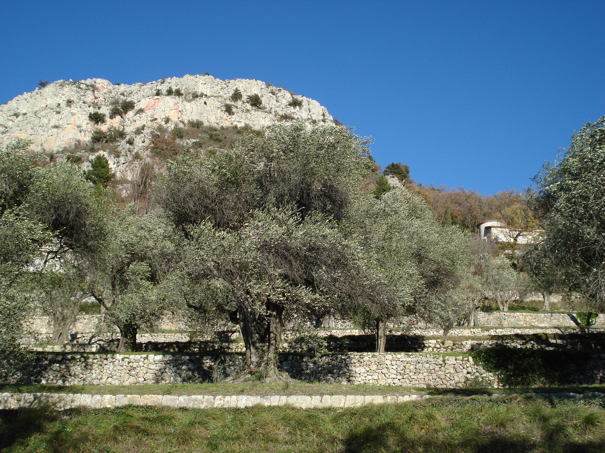Photo France Côte d'Azur route du Col de Vence 2007-01 61