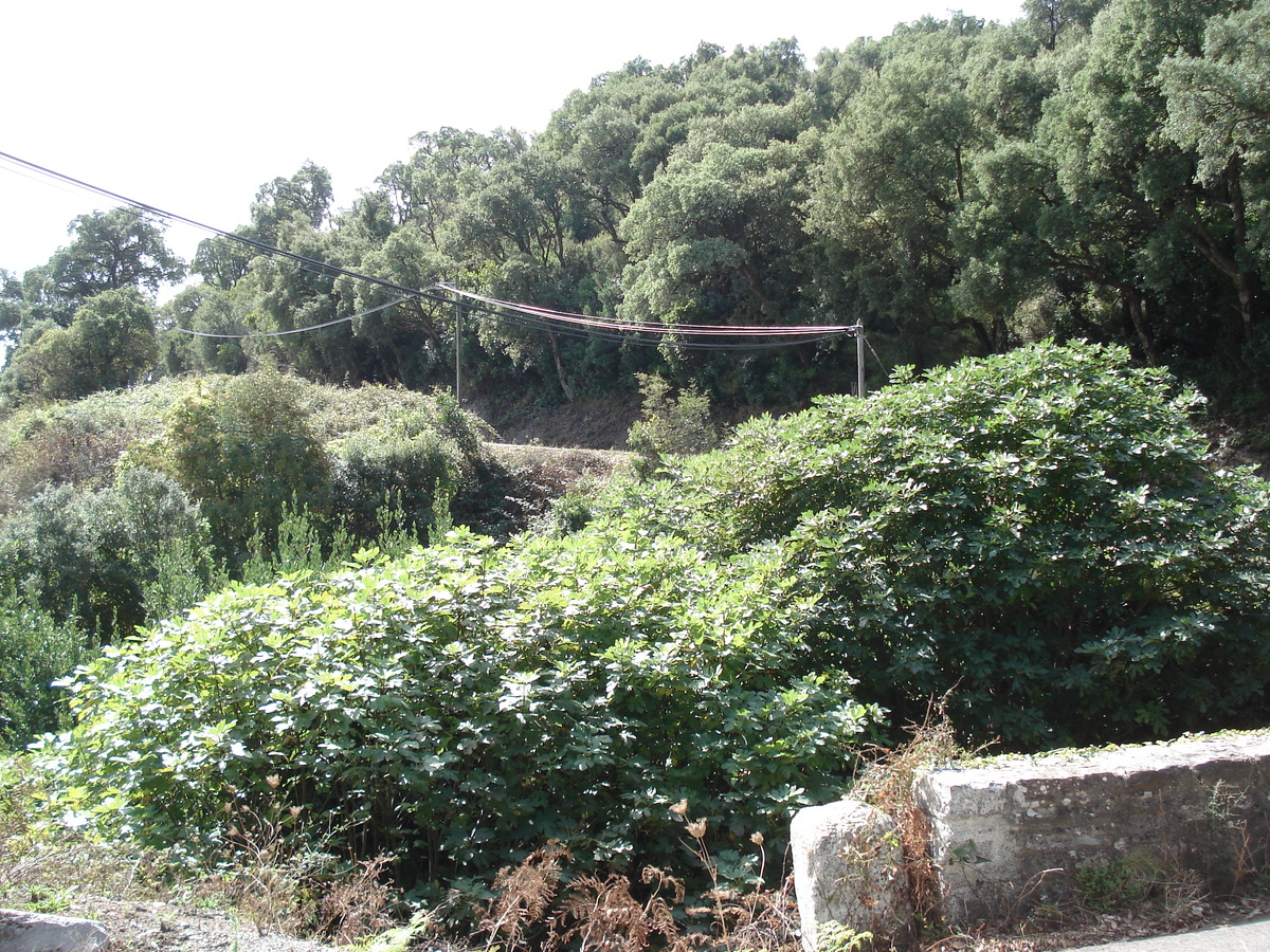 Photo France Corse Bastia to Saint Florent Road 2006-09 6