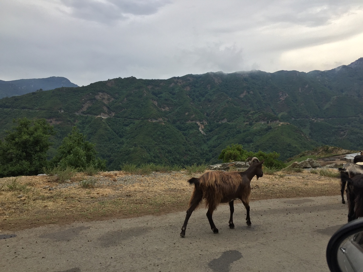 Photo France Corse Vallée d'Alesani 2017-07 9