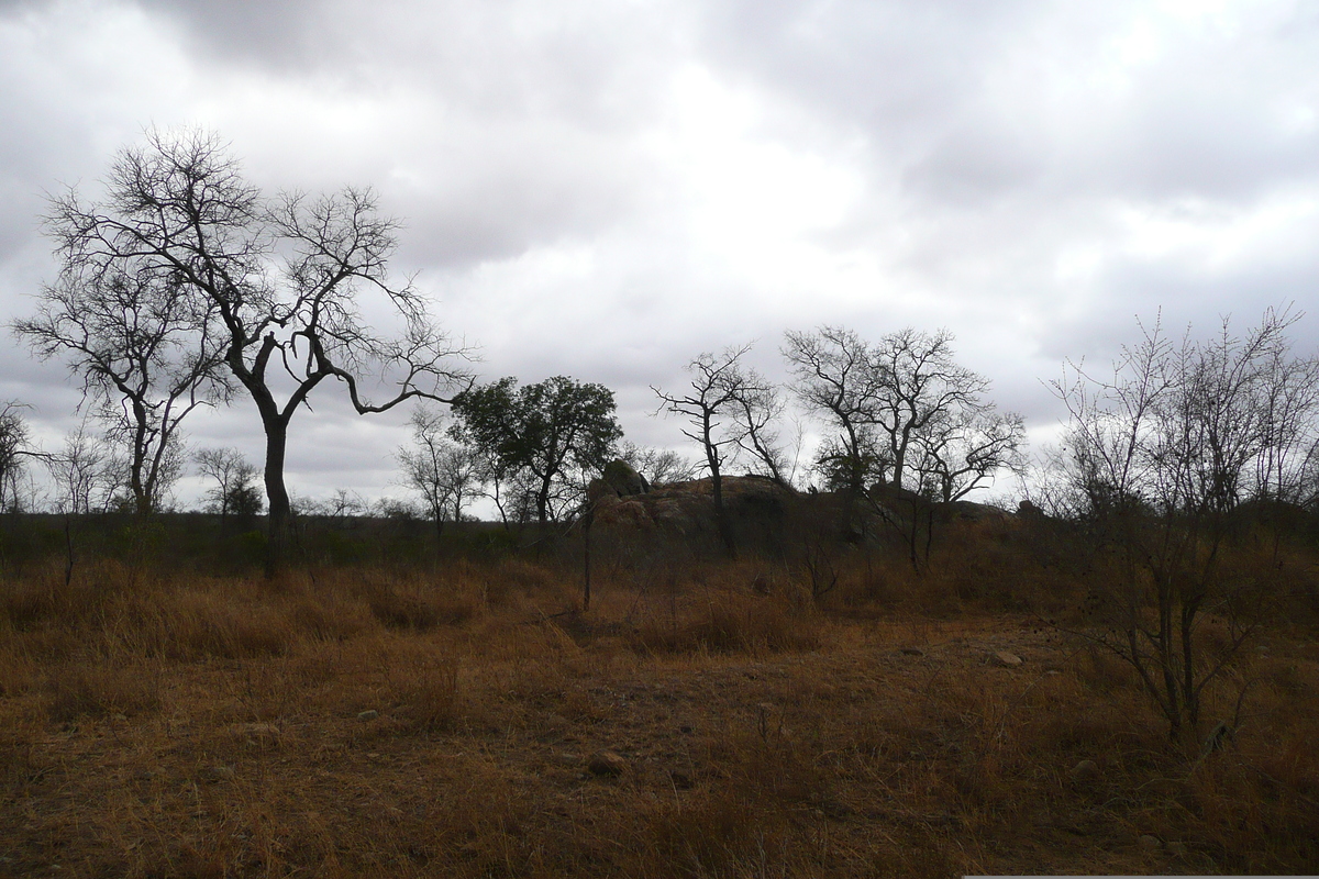 Photo Afrique du Sud Parc National Kruger route de la rivière Crocodile 2008-09 16