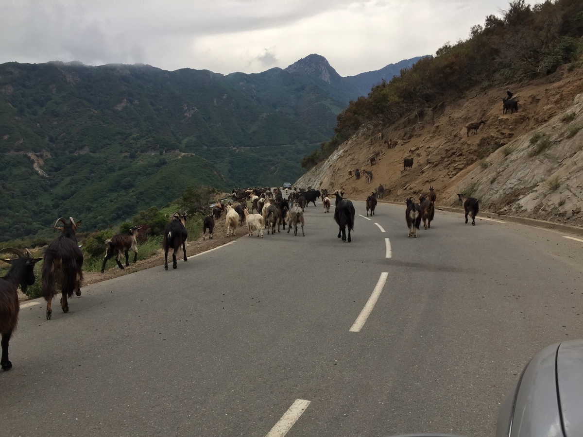 Photo France Corse Vallée d'Alesani 2017-07 12