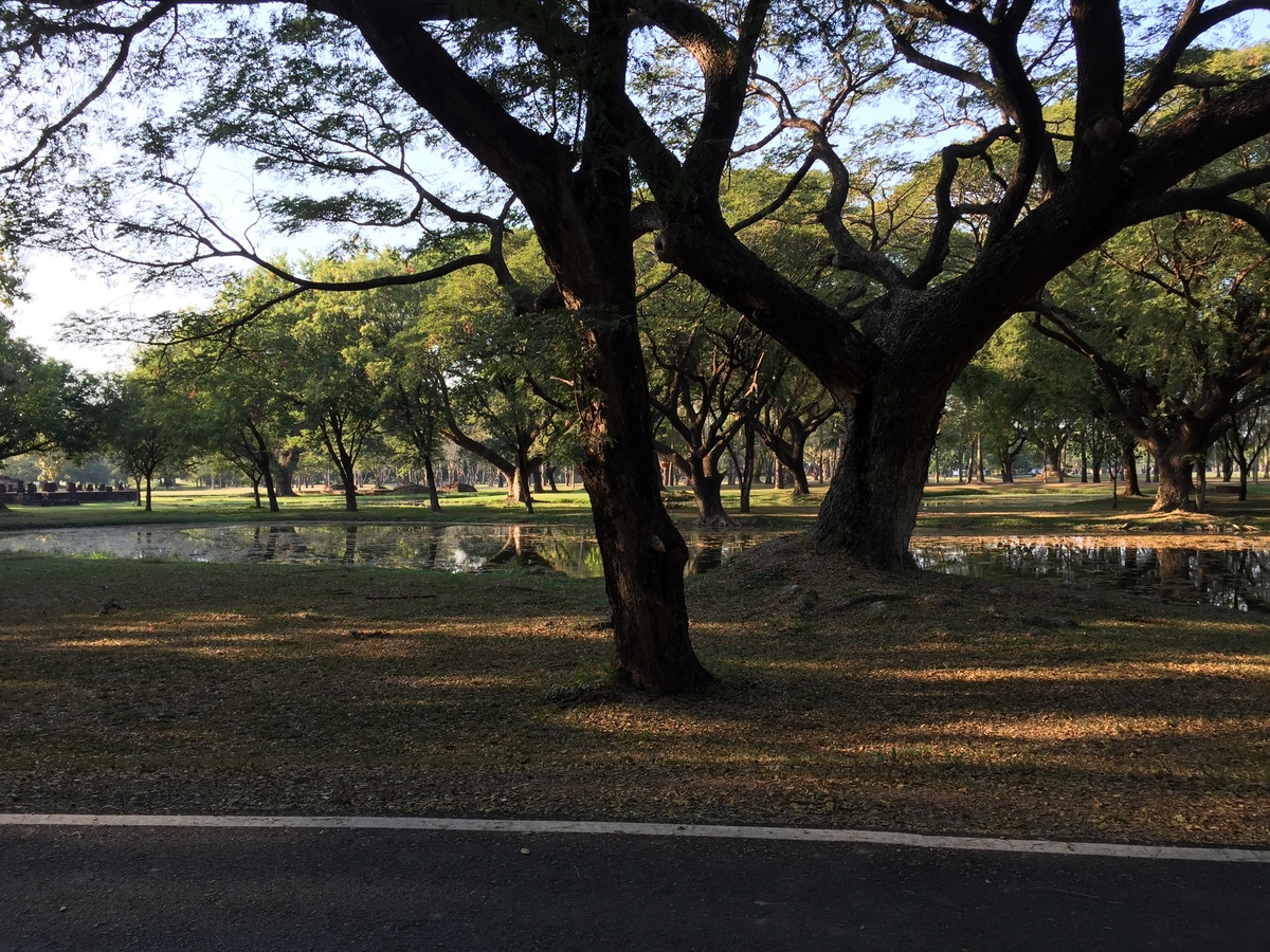 Photo Thaïlande Sukhothai 2014-12 35