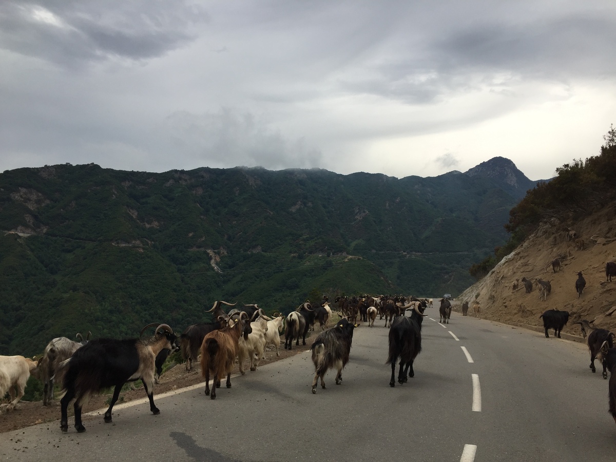 Photo France Corse Vallée d'Alesani 2017-07 14