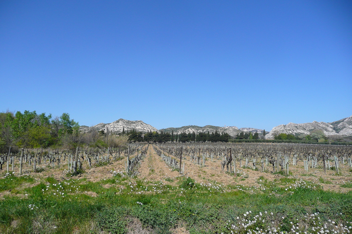 Photo France Provence route de Mouries aux Baux de Provence 2008-04 7
