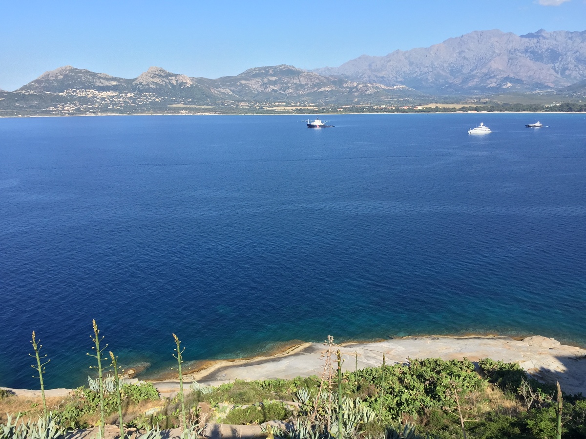 Photo France Corse Calvi 2015-05 33