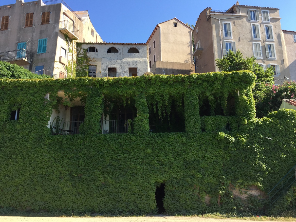 Photo France Corse Calvi 2015-05 42