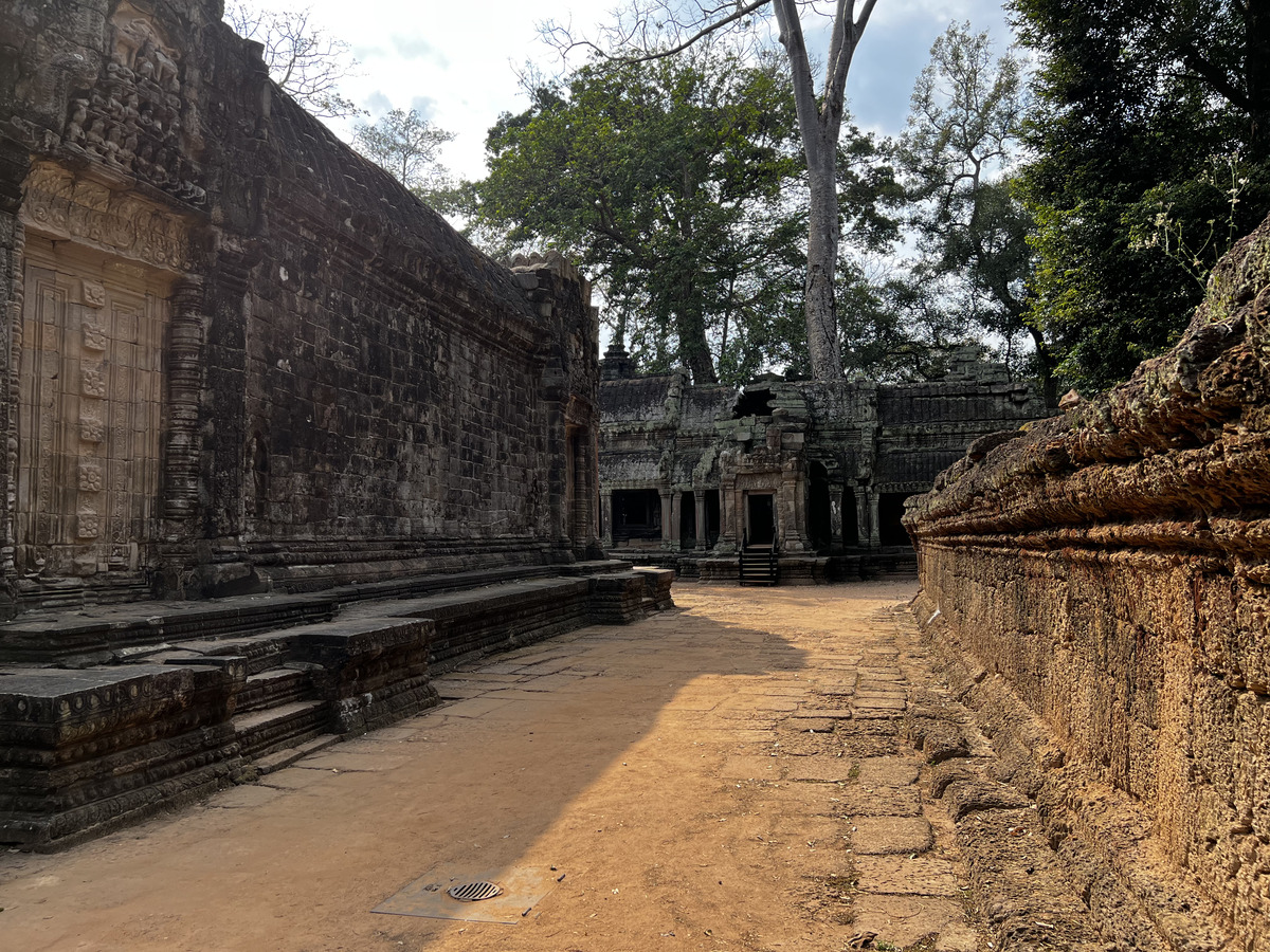 Photo Cambodge Siem Reap Ta Prohm 2023-01 117