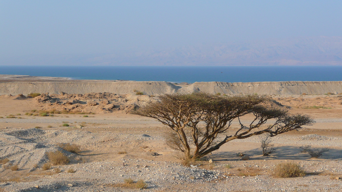 Photo Israel Mer Morte 2007-06 152
