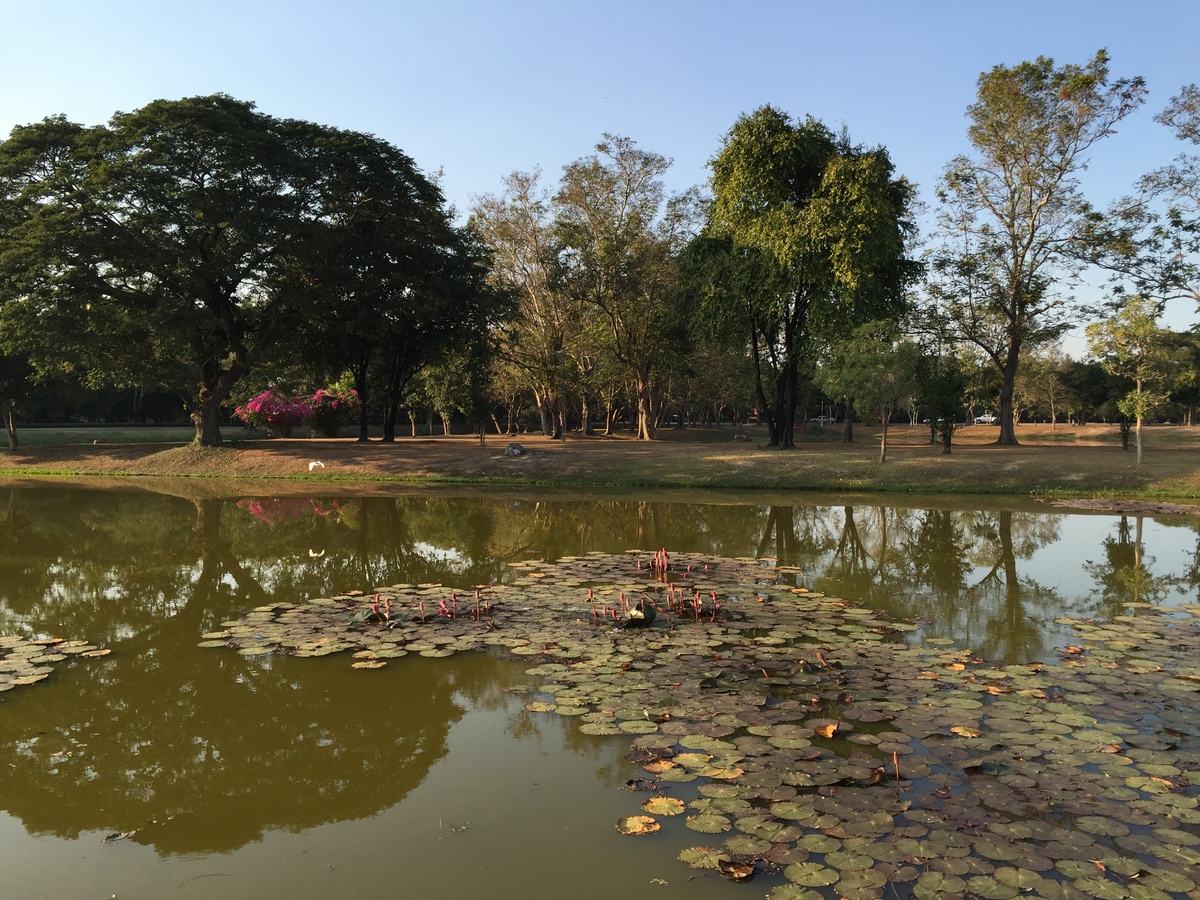 Photo Thaïlande Sukhothai 2014-12 20