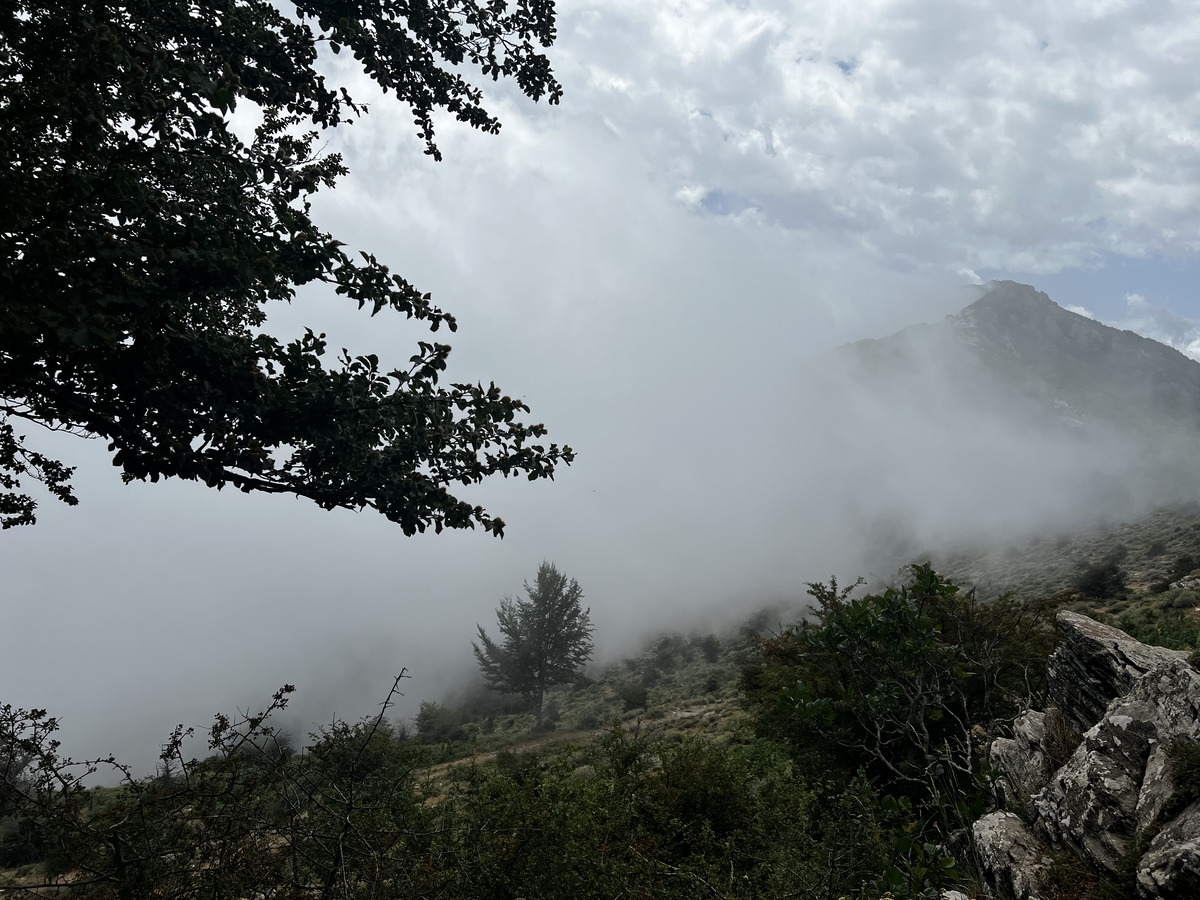 Photo France Corse Refuge de Callerucciu 2022-06 50