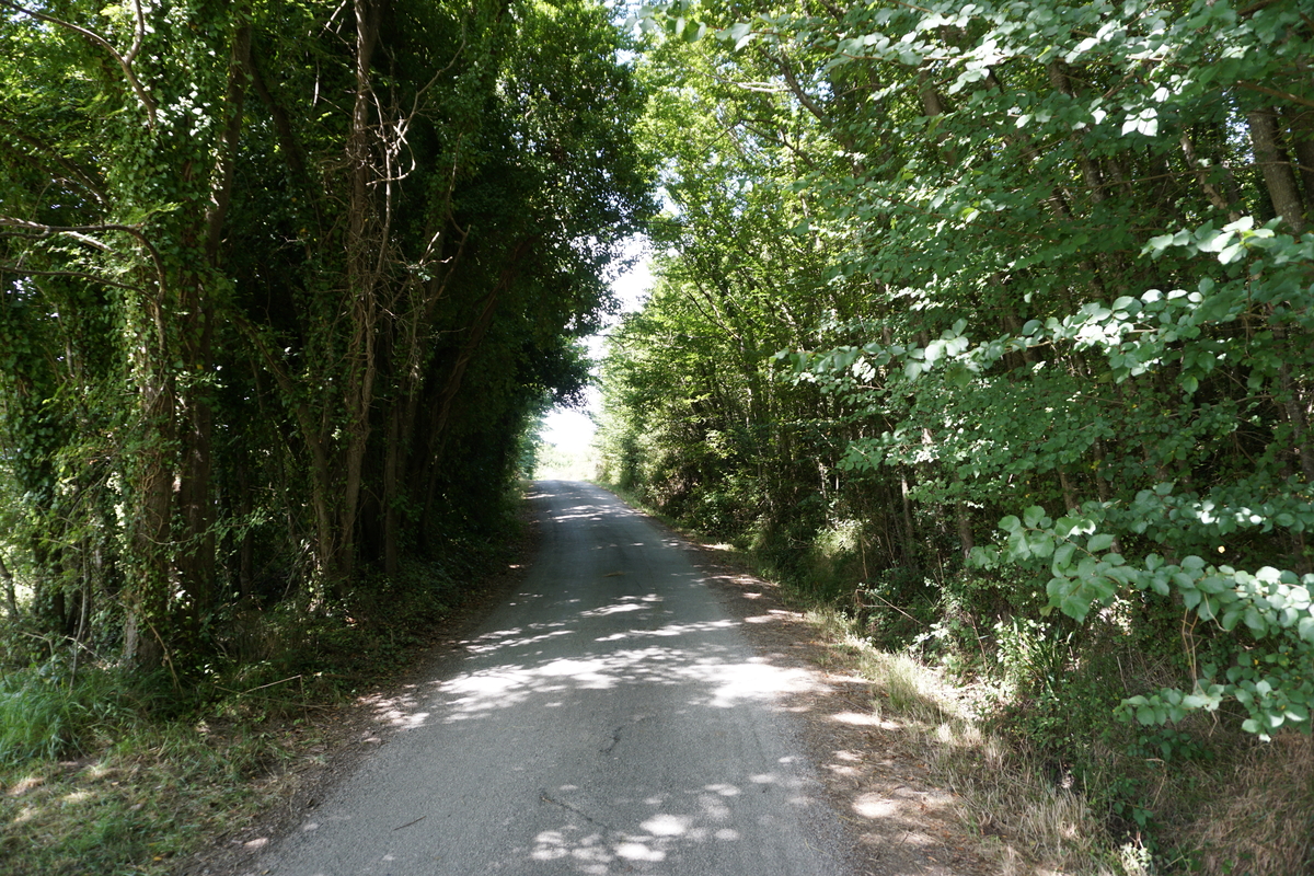 Photo France Belle-Ile 2016-08 33