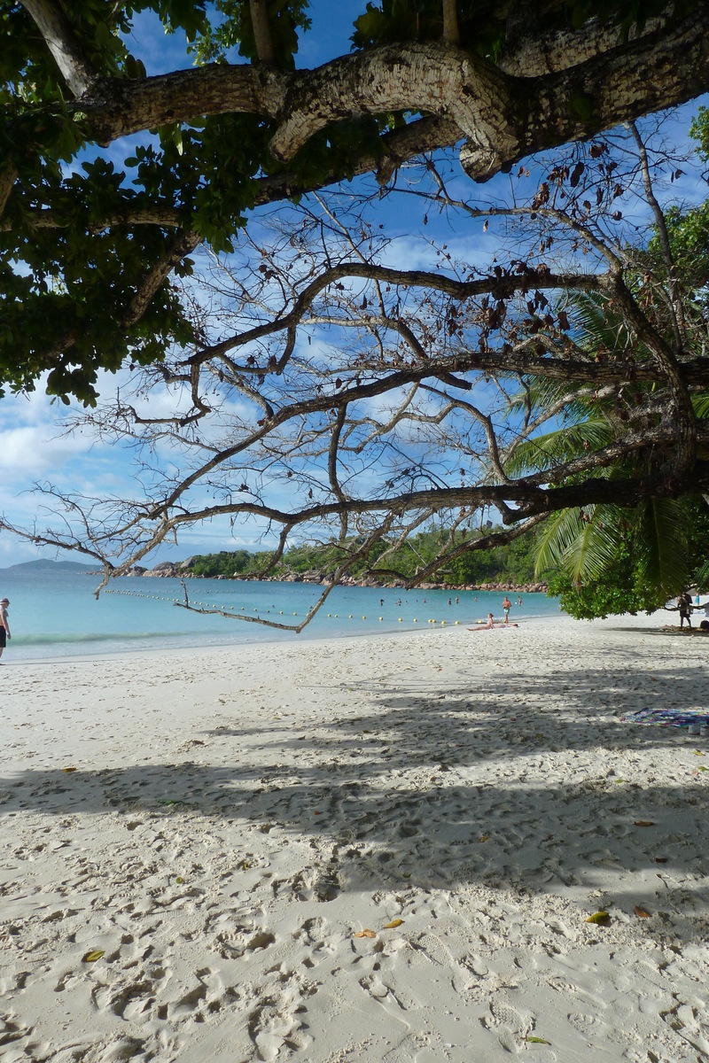 Photo Seychelles 2011-10 130