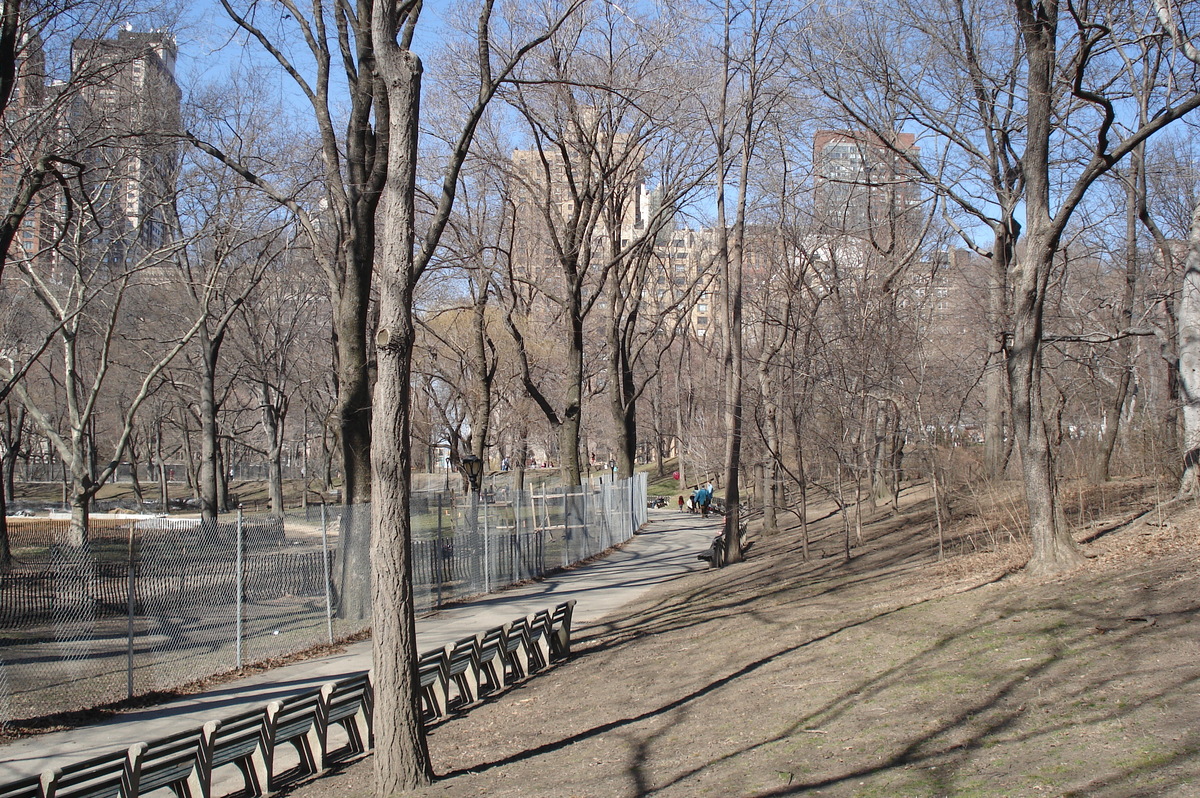 Photo États-Unis New York Central Park 2006-03 11
