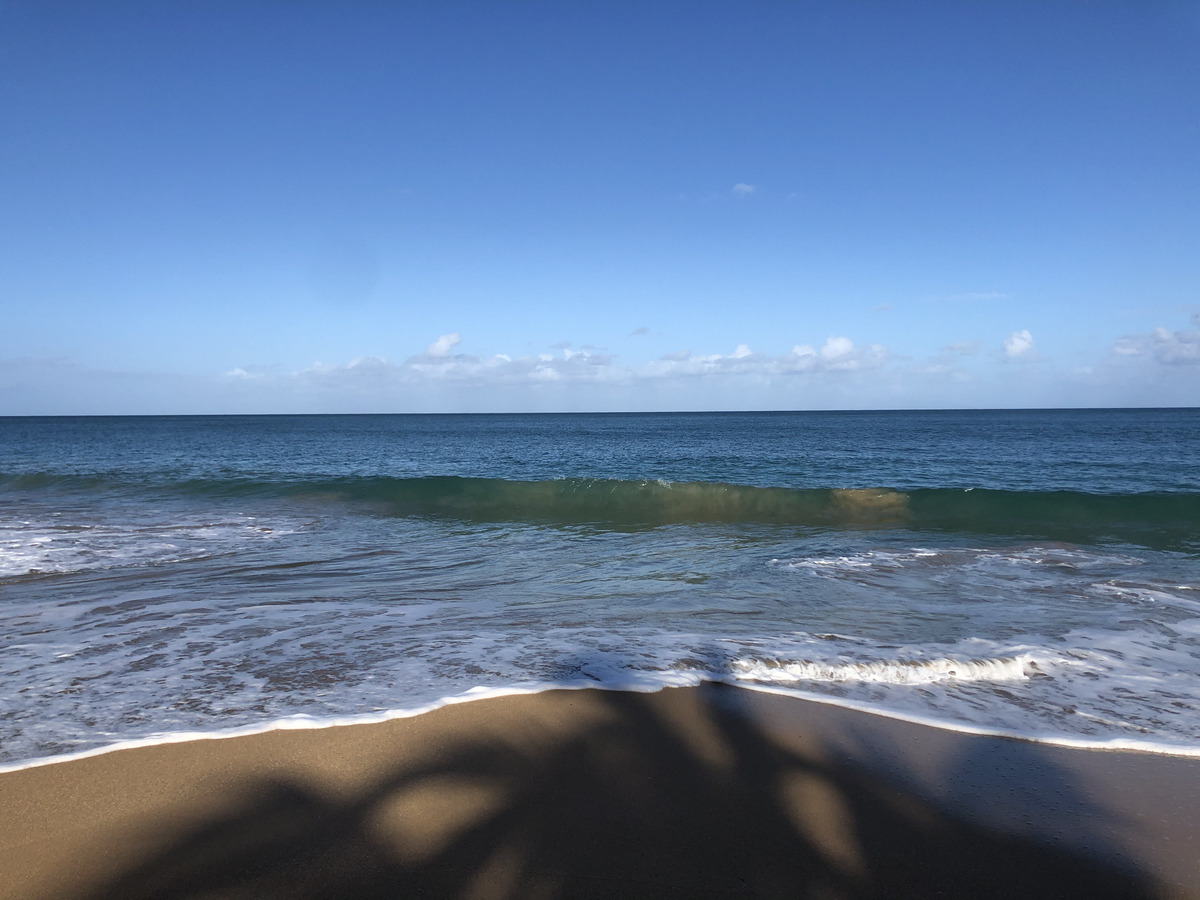 Photo Guadeloupe Plage de la Perle 2021-02 99