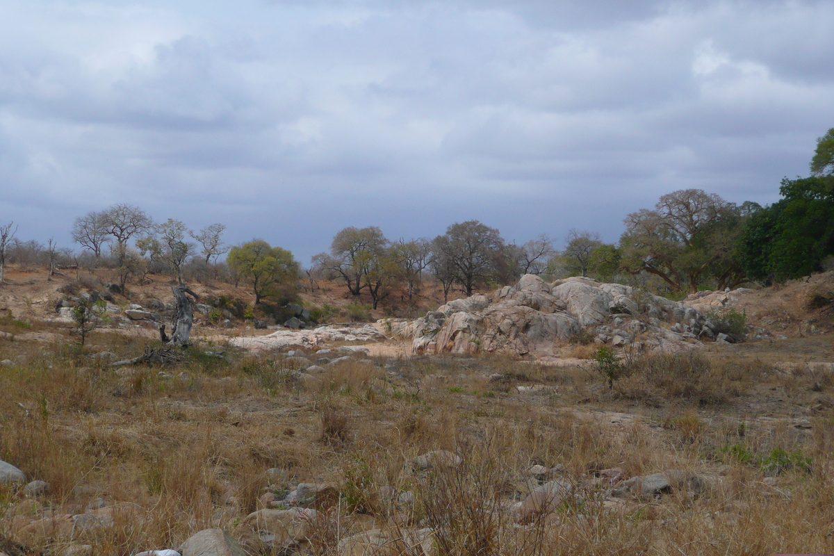 Photo Afrique du Sud Parc National Kruger route de la rivière Crocodile 2008-09 64