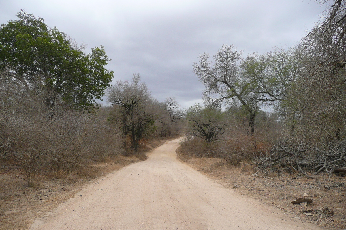 Photo Afrique du Sud Parc National Kruger Rivière Sable 2008-09 14
