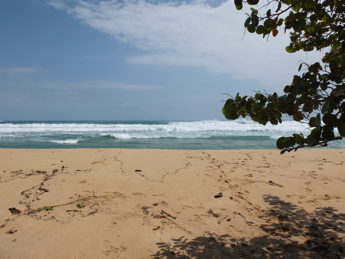 Photo Panama Bastimentos 2015-03 56