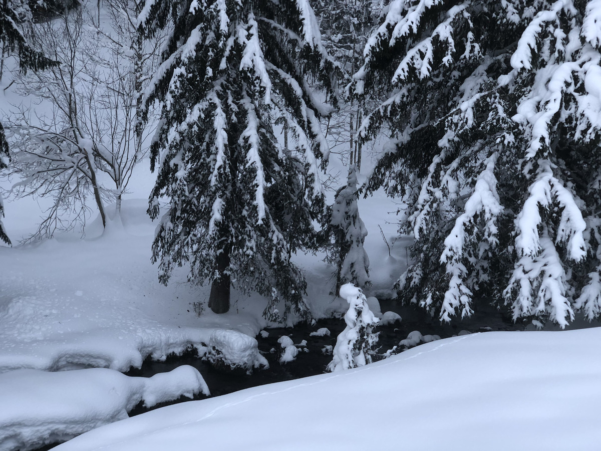Photo France La Clusaz 2017-12 343