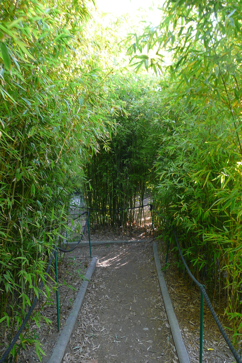 Photo France Nice Parc Phoenix 2007-10 36