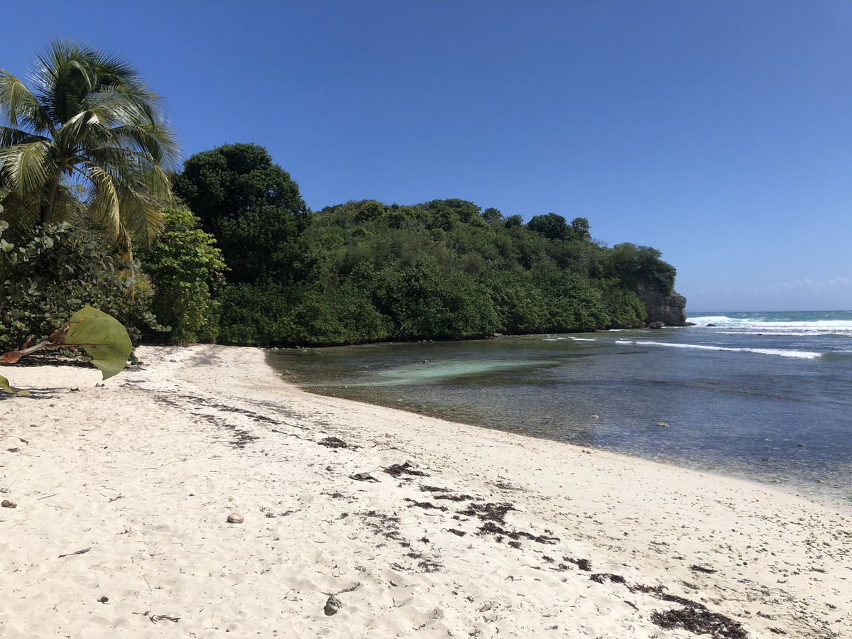 Photo Guadeloupe Pointe des Châteaux 2021-02 289
