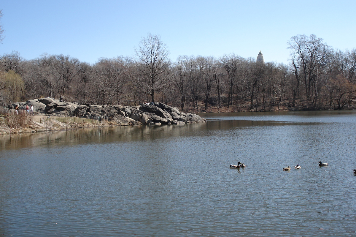Photo États-Unis New York Central Park 2006-03 54