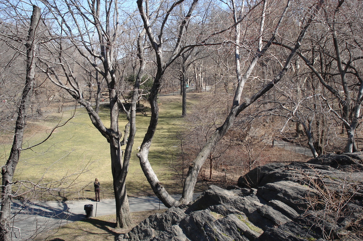 Photo États-Unis New York Central Park 2006-03 43