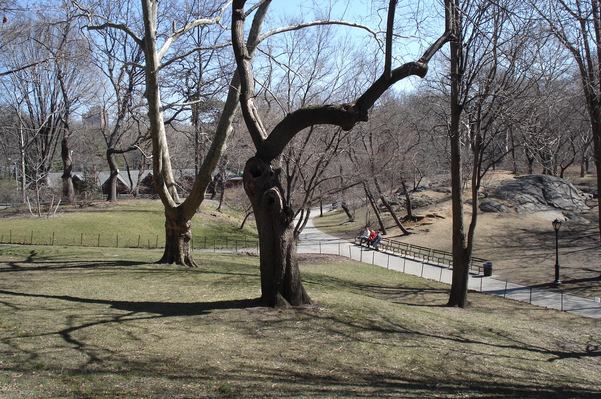Photo États-Unis New York Central Park 2006-03 16