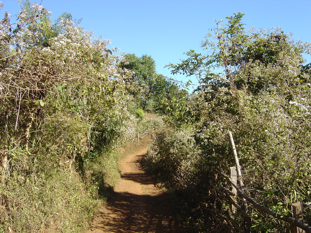 Photo Thaïlande Pang Mapha 2005-12 118