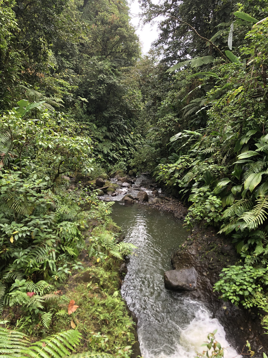 Photo Guadeloupe Chute du Carbet 2021-02 0