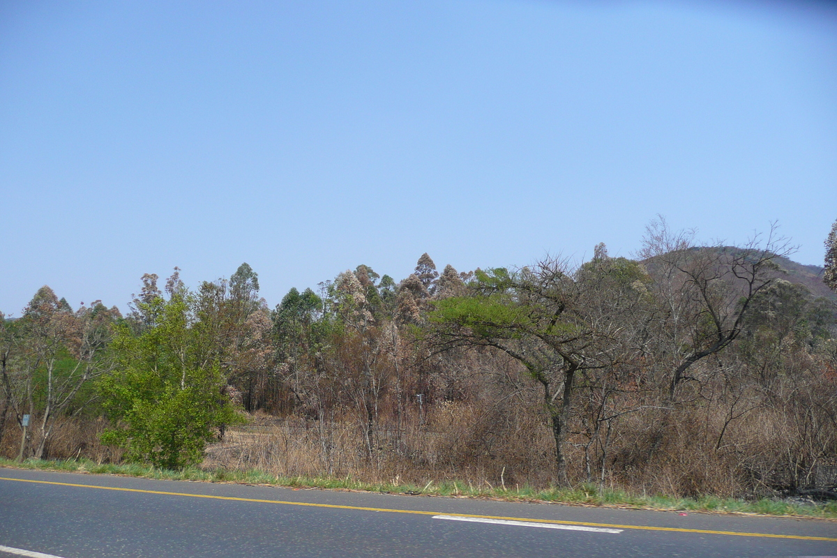 Photo Afrique du Sud route de Nelspruit à Johannesburg 2008-09 98