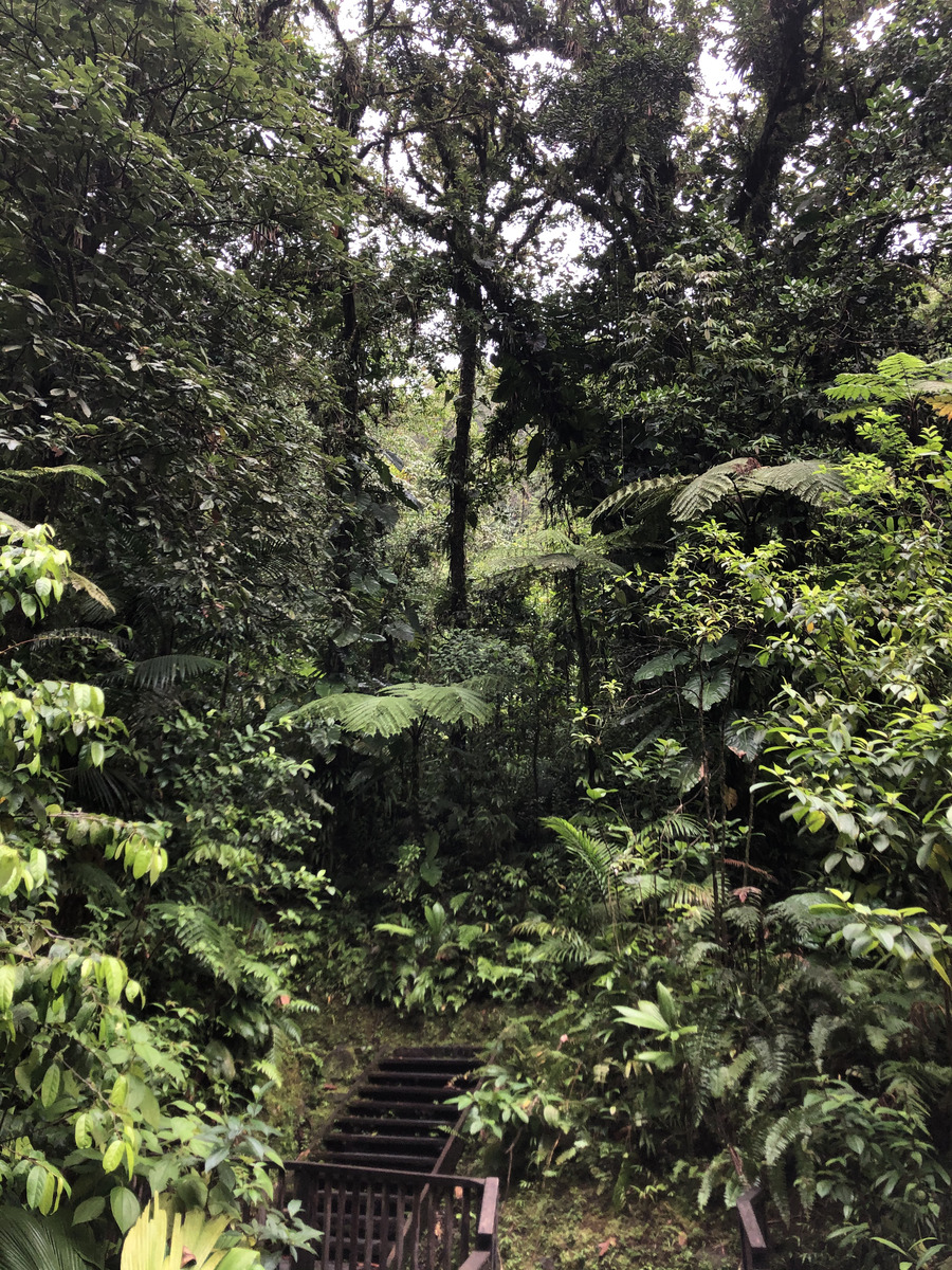 Photo Guadeloupe Chute du Carbet 2021-02 16
