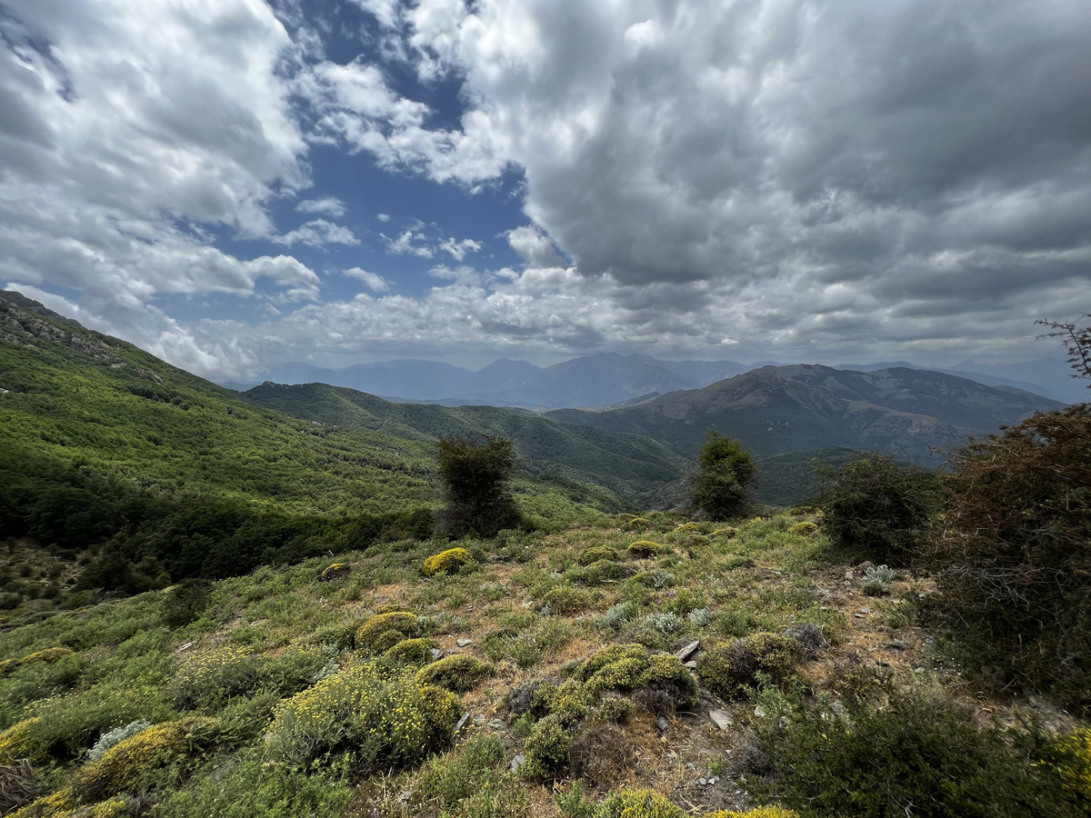 Photo France Corse Refuge de Callerucciu 2022-06 62