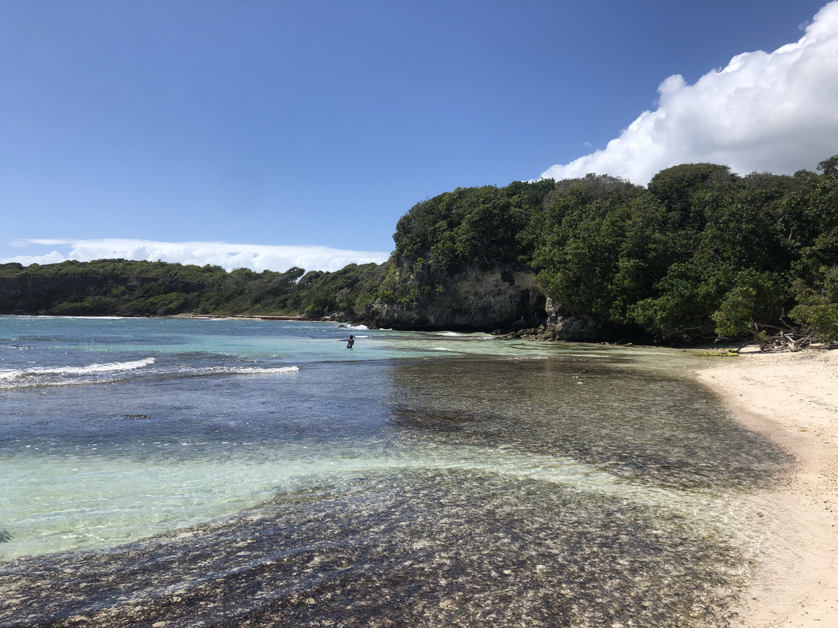 Photo Guadeloupe Pointe des Châteaux 2021-02 230