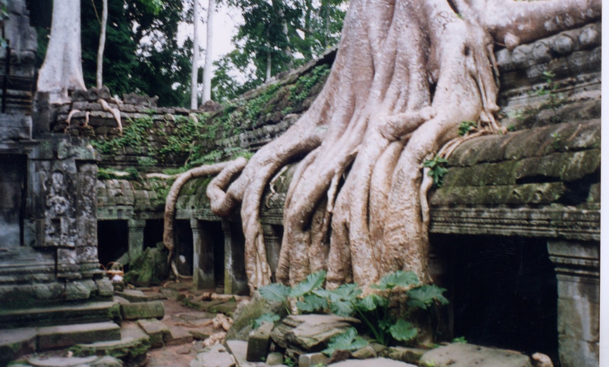 Photo Cambodge Temple d'Angkor 1996-06 37