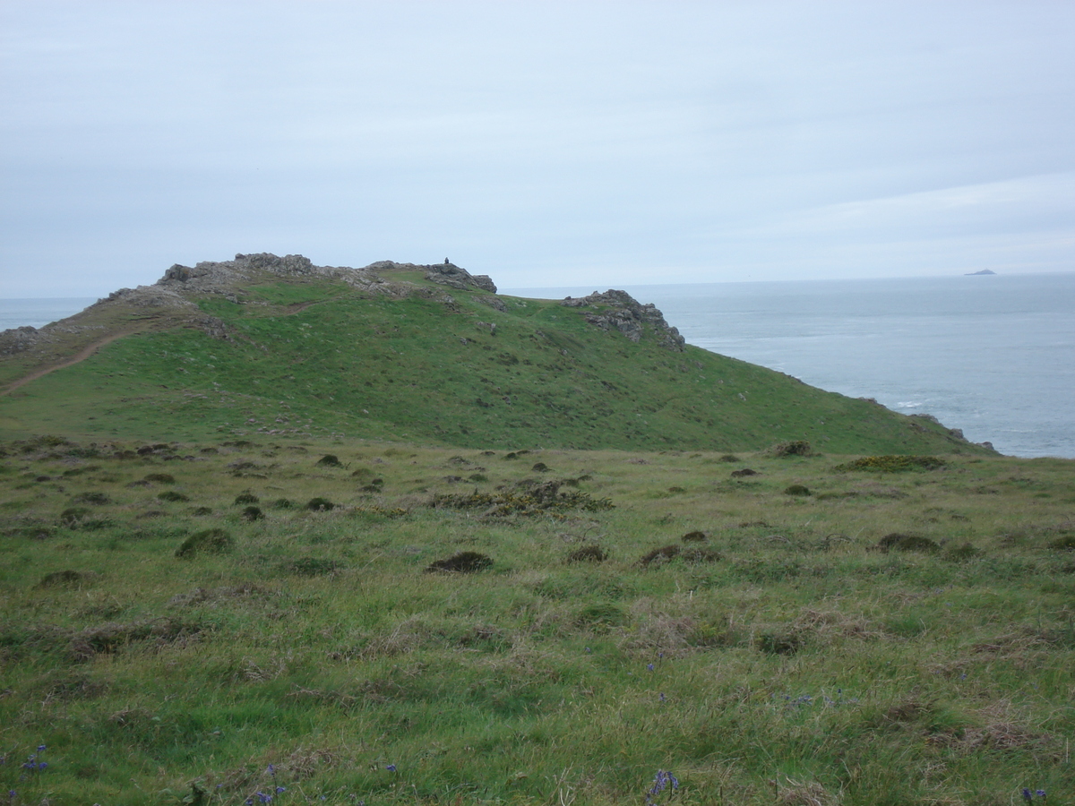 Photo Royaume-Uni Pembrokeshire Martins Havens 2006-05 5
