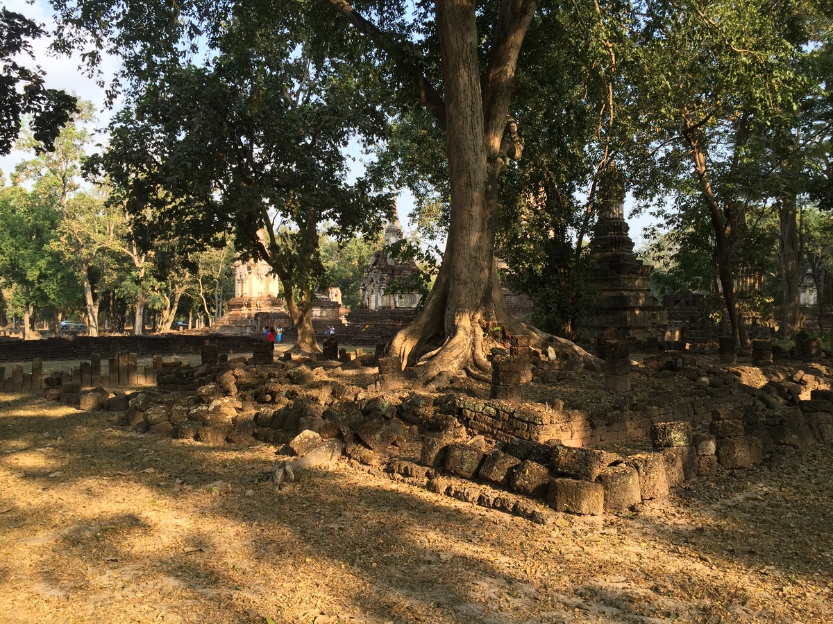 Photo Thaïlande Parc Si satchanalai 2014-12 187