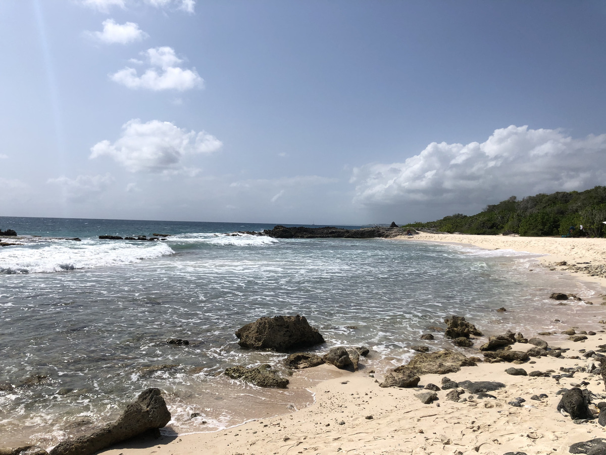 Photo Guadeloupe Pointe des Châteaux 2021-02 310