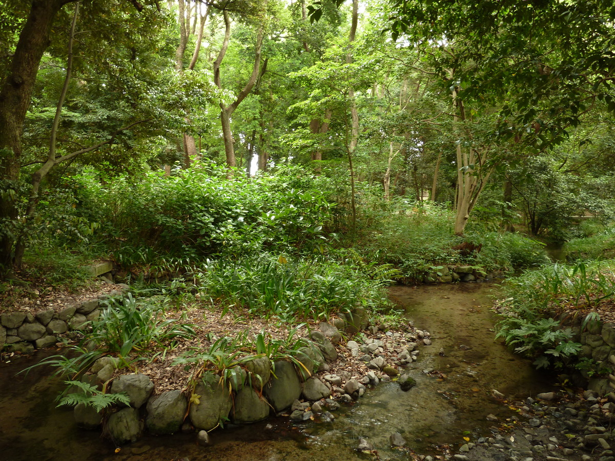 Photo Japon Kyoto Sanctuaire Kamo-mioya (Shimogamo) 2010-06 6