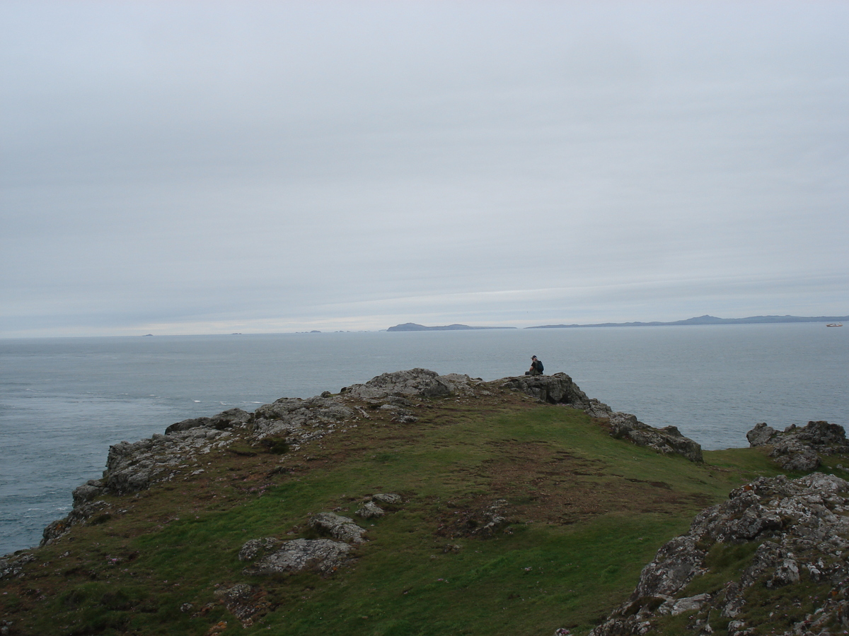 Photo Royaume-Uni Pembrokeshire Martins Havens 2006-05 16
