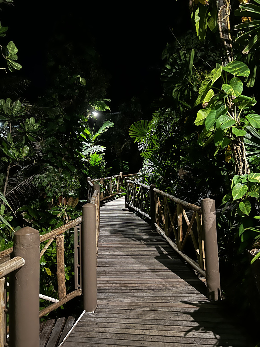 Photo Thaïlande Phuket Plage de Karon Restaurant On the rock 2021-12 6