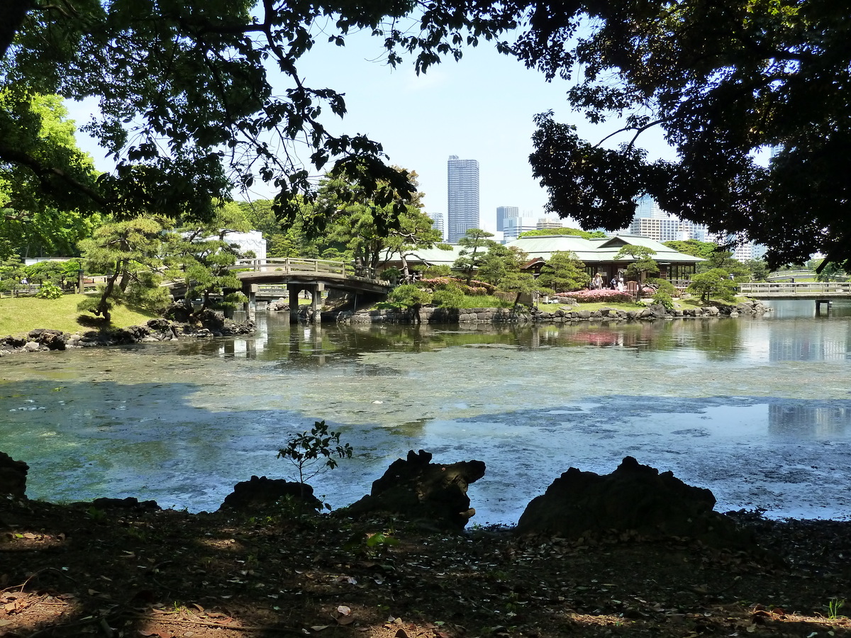 Photo Japon Tokyo Jardins Hama rikyu 2010-06 91
