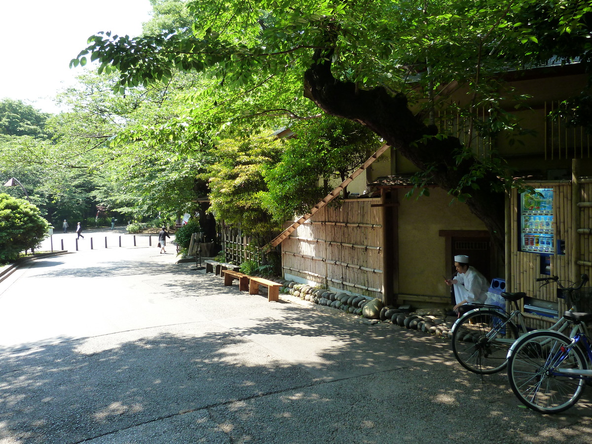 Photo Japon Tokyo Ueno 2010-06 14