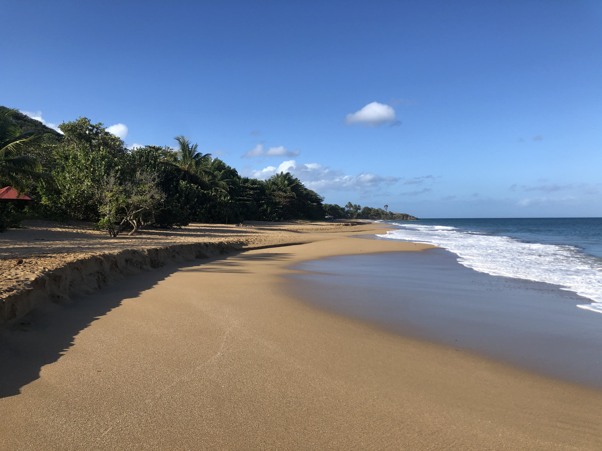 Photo Guadeloupe Plage de la Perle 2021-02 19