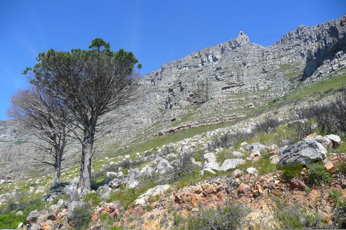 Photo Afrique du Sud Le Cap Montagne de la table 2008-09 21