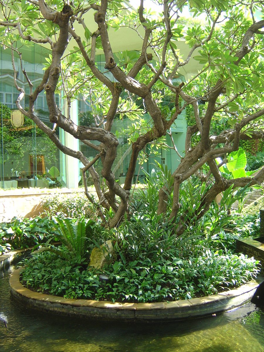 Photo Thaïlande Bangkok Hotel Dusit Tani 2005-12 23