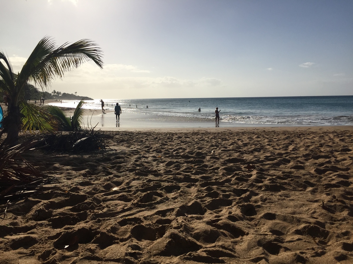 Photo Guadeloupe Plage de la Perle 2021-02 1