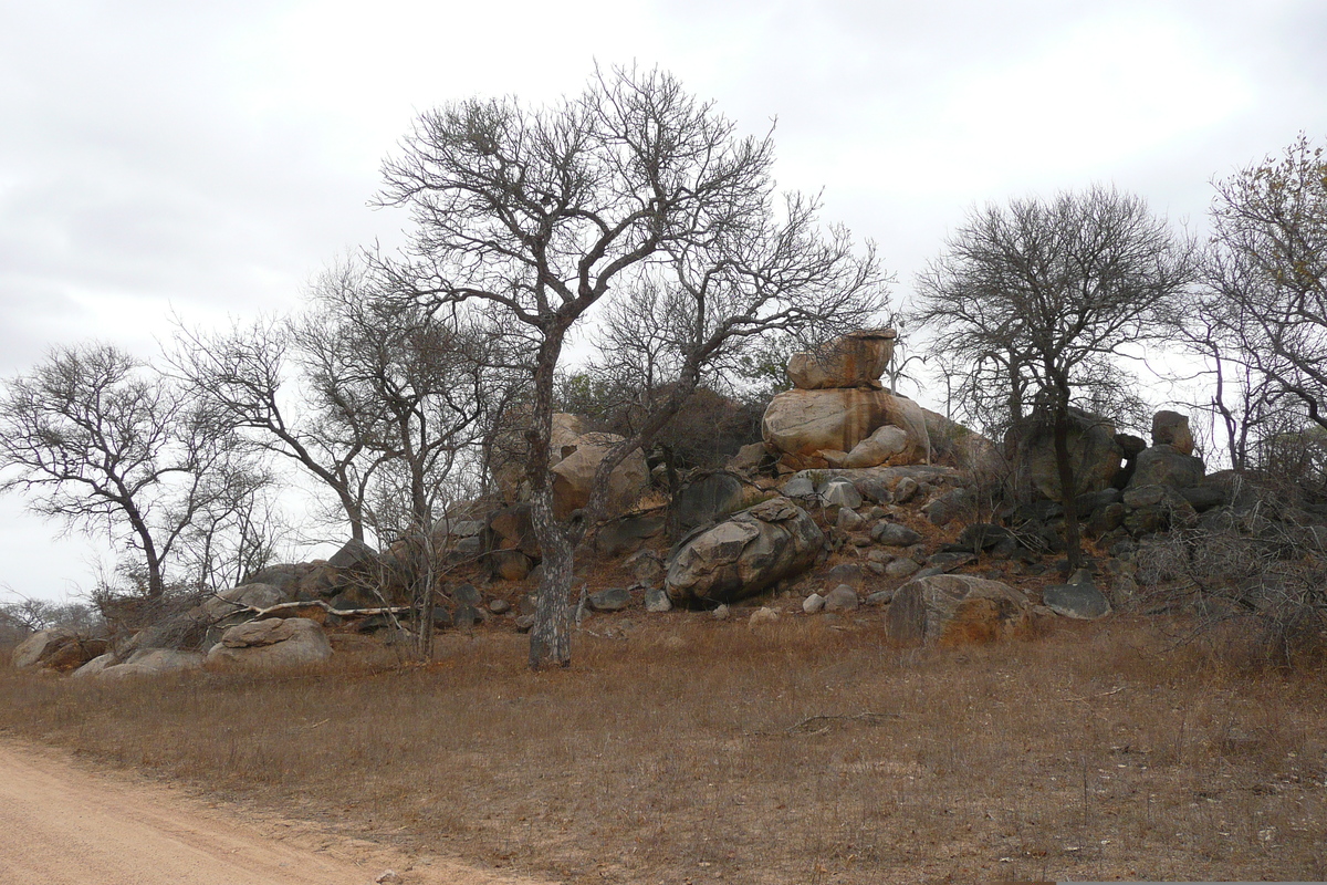 Photo Afrique du Sud Parc National Kruger 2008-09 40