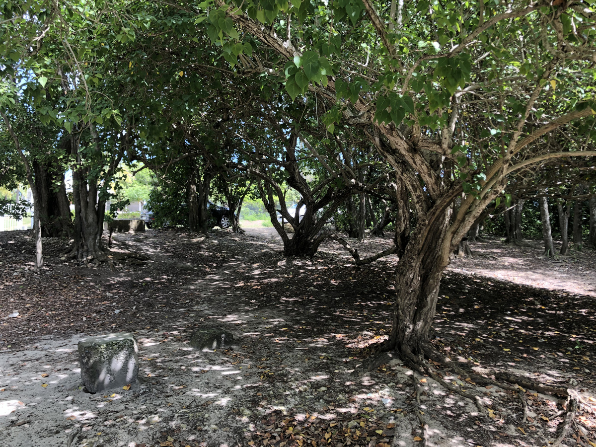 Photo Guadeloupe Saint François 2021-02 0